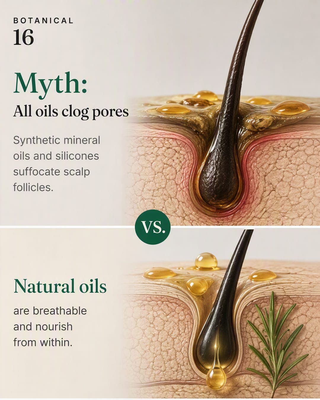 Myth vs Truth Botanical 16